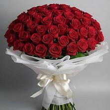 Букет 101 Красная роза Блэк Мэджик в Александроневской