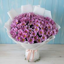 Букет цветов из:  Хризантемы в Александроневской