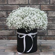 Цветочная композиция из Гипсофила в шляпной коробке #REPLACE_PRED# Александроневской