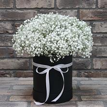 Цветочная композиция из Гипсофила в шляпной коробке в Александроневской