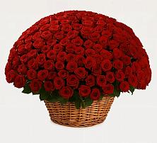 Премиум букет из: Розы в Александроневской